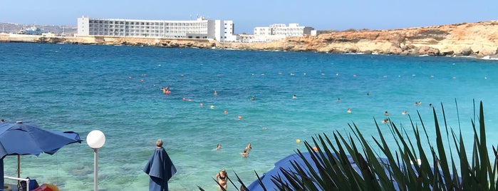 Paradise Bay is one of VISITAR Malta.