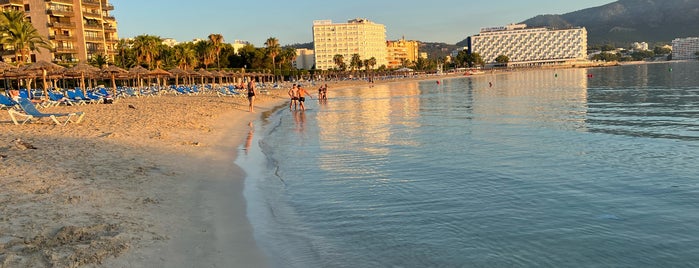 Platja de Son Maties is one of Магалуф.