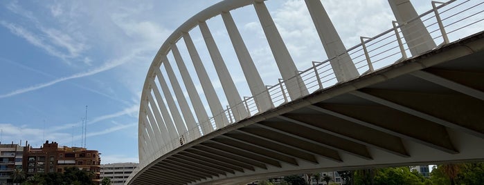 Pont de l'Exposició is one of Valência, ESP.