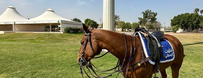 Ghantoot Polo Club is one of outdoor.