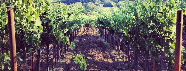 Quivira Vineyards and Winery is one of Vino 🍷.
