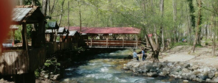 Karakaya Piknik Alanı & Çay Bahçesi is one of สถานที่ที่ İnvornia ถูกใจ.