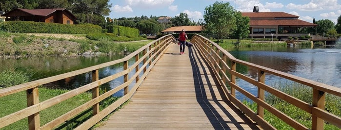 Club de Golf Lomas-Bosque is one of Madrid.