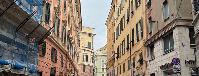 Via Cairoli is one of Genova.