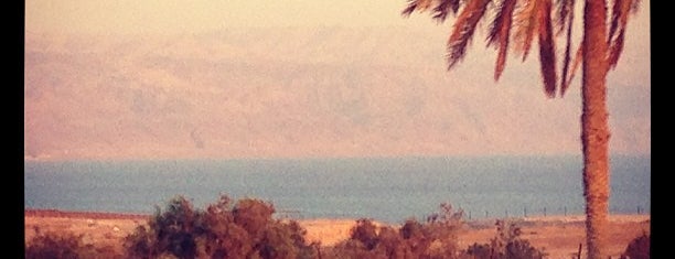 Dead Sea is one of Israel.