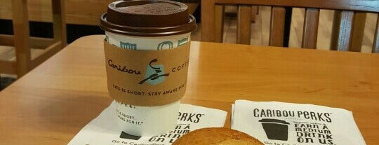 Caribou Coffee is one of Locais curtidos por Doug.