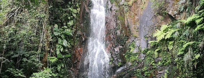 Ng Tung Chai Waterfall Middle Fall is one of Hong Kong.