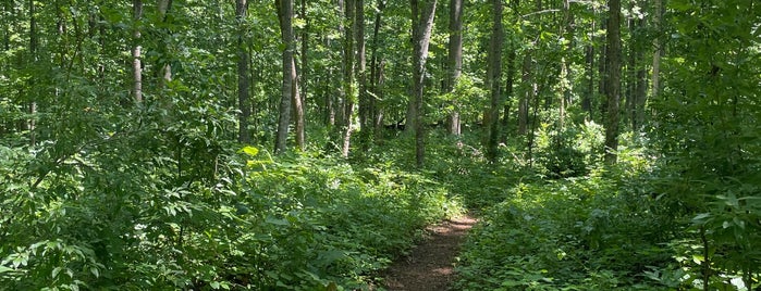 Whitney State Forest is one of NOVA parks.