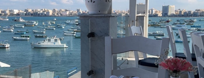 Greek Yacht Club of Alexandria is one of Alexandria Hot Spots.