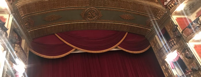 Theatro da Paz is one of สถานที่ที่ Vanja ถูกใจ.