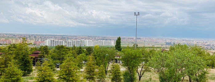 Rahmet Ormanı is one of Konya.