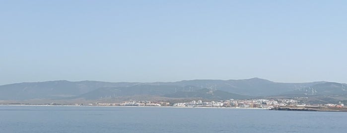 Puerto de Tarifa is one of Ver o tomar en el Sur.