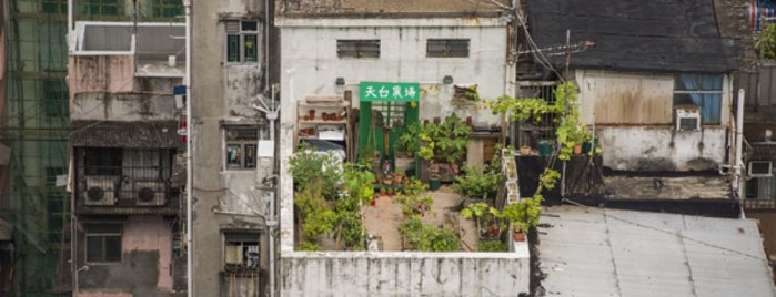 HK Farm - Hamilton Street, Yau Ma Tei is one of Hong Kong.