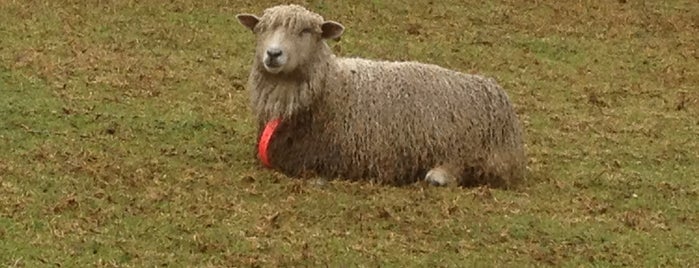 Collingwood Children's Farm is one of carlton-fitzroy.