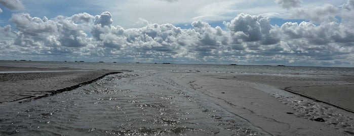 Wattenmeer is one of 200 Jahre Theodor Storm.