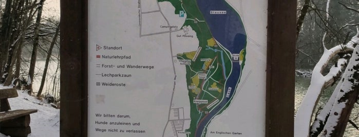 Wildparkweg is one of Landsberg.