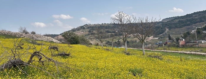 Ajloun Castle is one of Soly'un Kaydettiği Mekanlar.