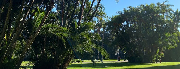 Parco di Capodimonte is one of The 15 Best Places with Scenic Views in Naples.