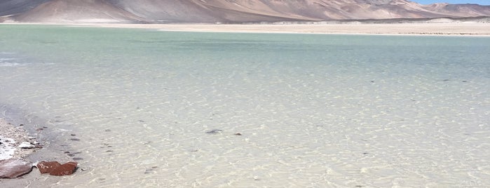 Salar de Aguas Calientes is one of Damon'un Beğendiği Mekanlar.