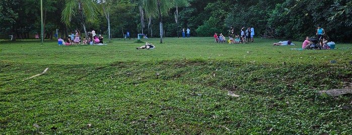 Cesamar Park is one of 30 Lugares para ir em Palmas.