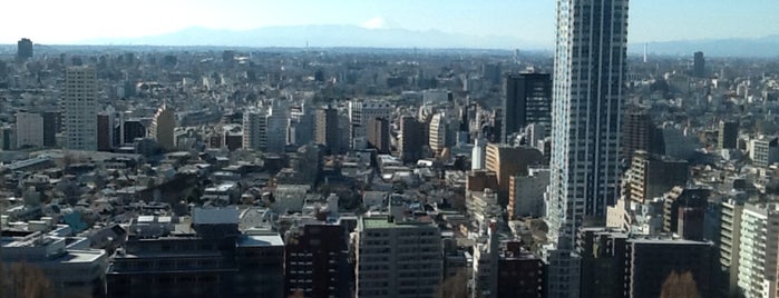 西新宿 is one of Things to do - Tokyo & Vicinity, Japan.