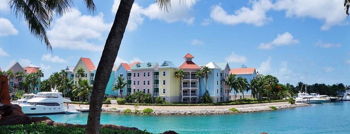 Paradise Island is one of Bahamas.
