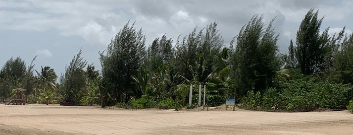 Pine Grove Beach is one of Puerto Rico.