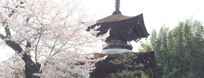 多宝塔 is one of 多宝塔 / Two Storied Pagoda in Japan.