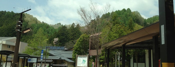 道の駅 信州平谷 is one of 道の駅 中部.