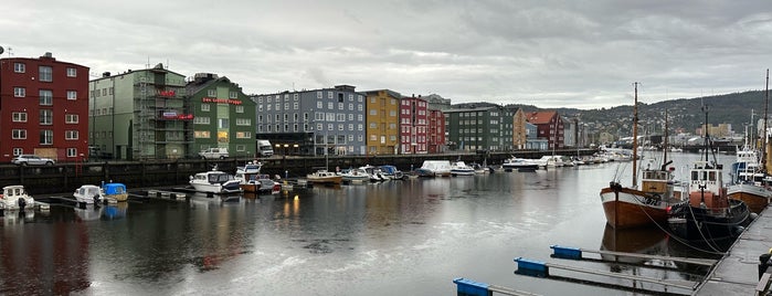 Trondheim is one of Best of Norway.