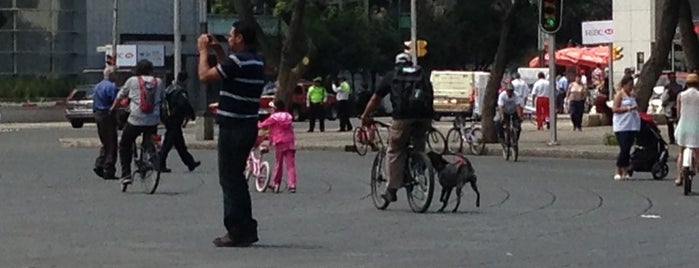 Avenida Paseo de la Reforma is one of Posti che sono piaciuti a Daisy.