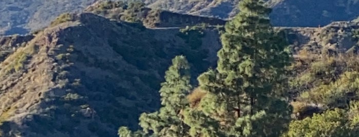 Mount Hollywood is one of La La Land in LA.