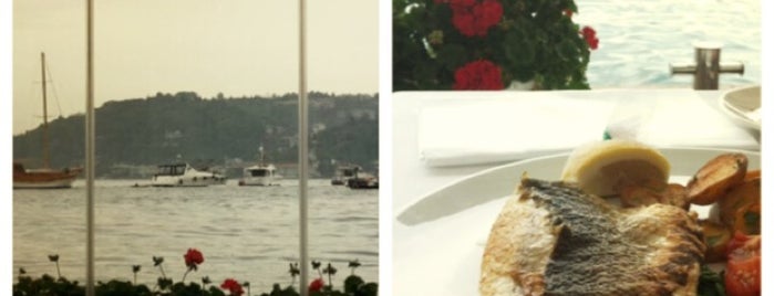 Divan Brasserie Bebek is one of ❤️angele❤️'ın Beğendiği Mekanlar.