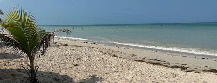 Bahía de Tortuga is one of Campeche.