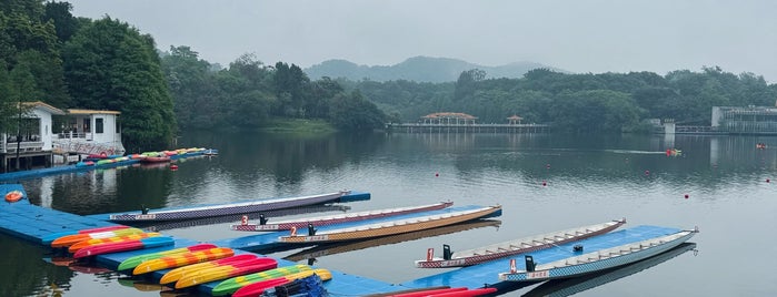 麓湖公园 is one of Гуанчжоу.