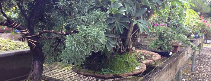 Bonzai Garden is one of MIA.