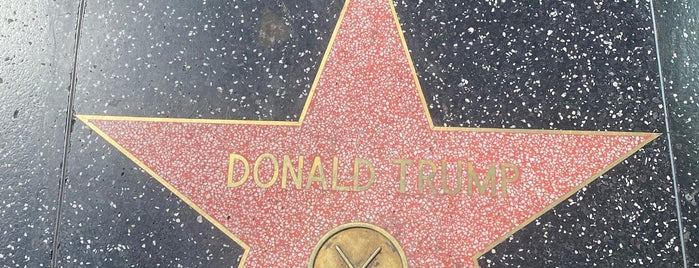 Donald Trump Hollywood Star is one of LA.