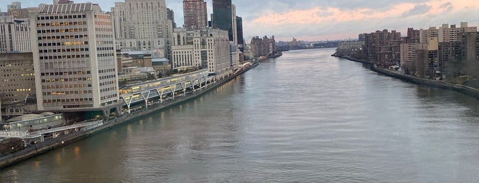 Roosevelt Island is one of The New Yorker's About Town.