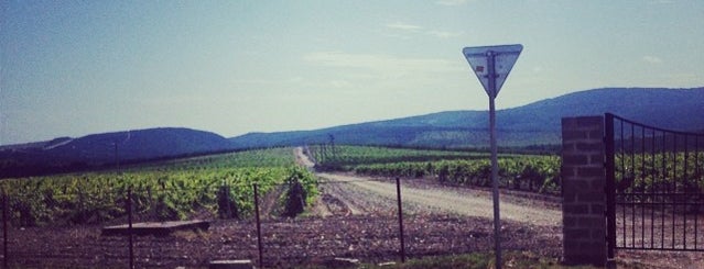 Геленджикский винзавод is one of Lieux qui ont plu à Vlad.