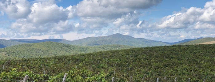 Виноградники «Абрау-Дюрсо» is one of Россиюшка - юг и запад.