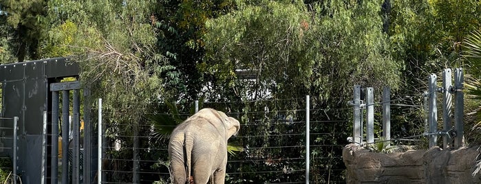 Elephants of Asia is one of zoos to fix.