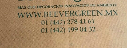 Be Evergreen is one of Amigos Decoradores.