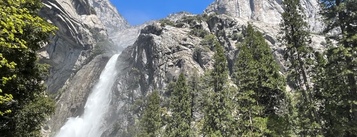 Lower Yosemite Falls is one of Yosemite features.