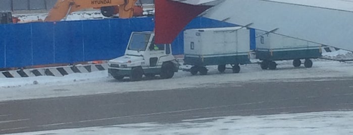 Выход 22 / Gate 22 is one of DME Airport Facilities.