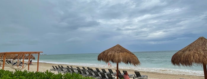 Ocean Coral Turquesa is one of Playas - México.