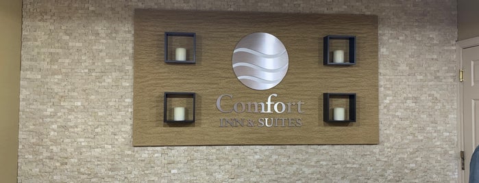 Comfort Inn & Suites is one of Tinley Park.