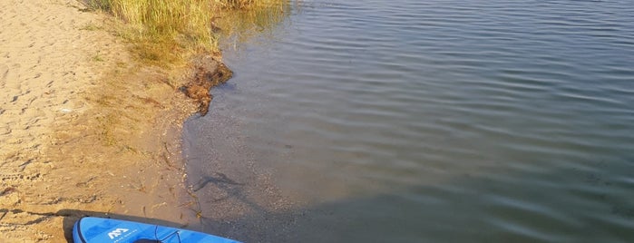 Lupa Beach is one of Budapest with kids.