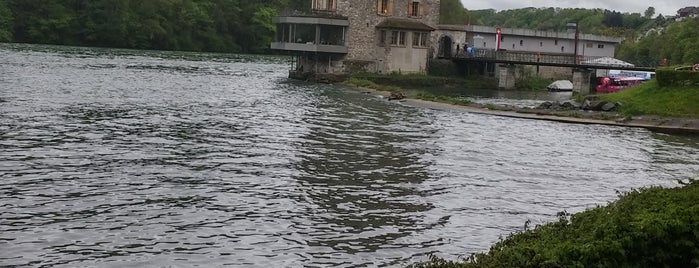 Restaurant Park am Rheinfall is one of Gamze'nin Beğendiği Mekanlar.