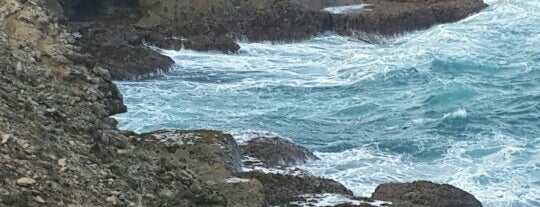 Cove Bay is one of Best Barbados Picnic Beaches.