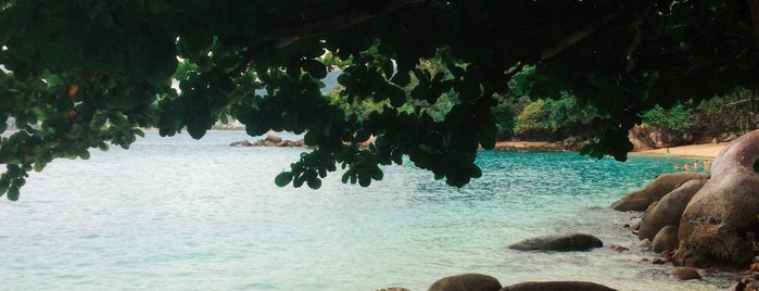 Paradise Beach is one of Lugares favoritos de Ler.